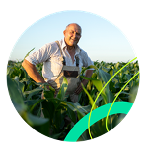 Sector agropecuario